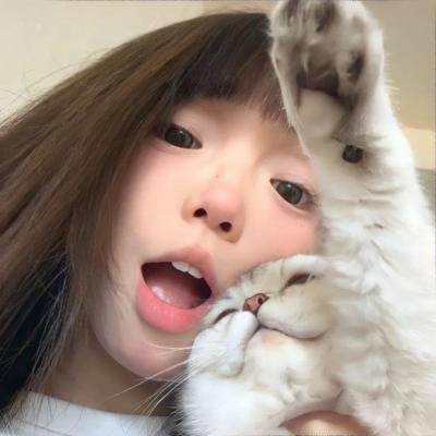 勇敢骑士兔